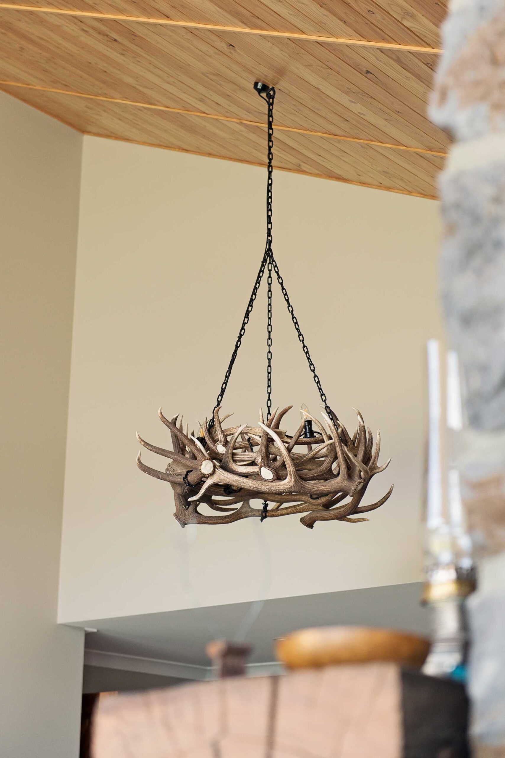  My clever clients made their own light fitting with deer antlers from their farm